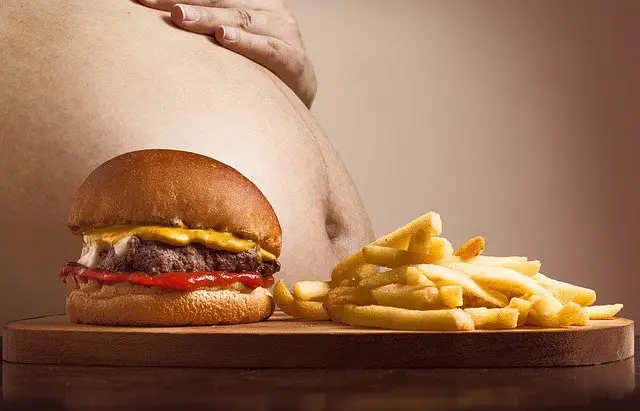 Chất béo có xấu như chúng ta nghĩ