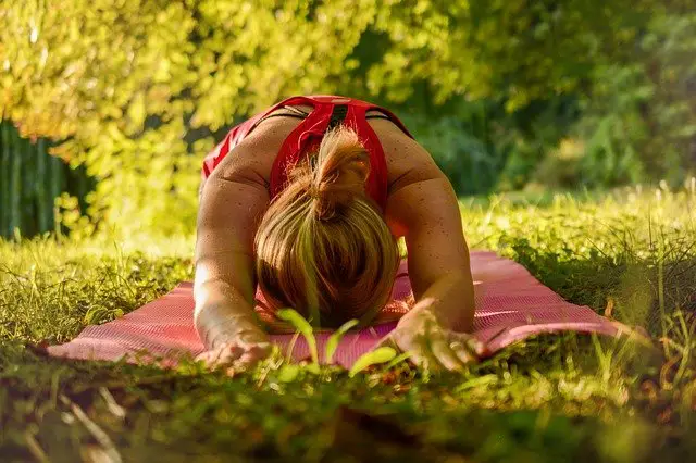 Nguyên tắc trị liệu trong yoga