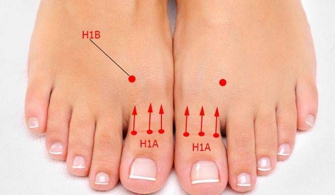 Sự kỳ diệu của ngón chân cái Sự kỳ diệu của ngón chân cái