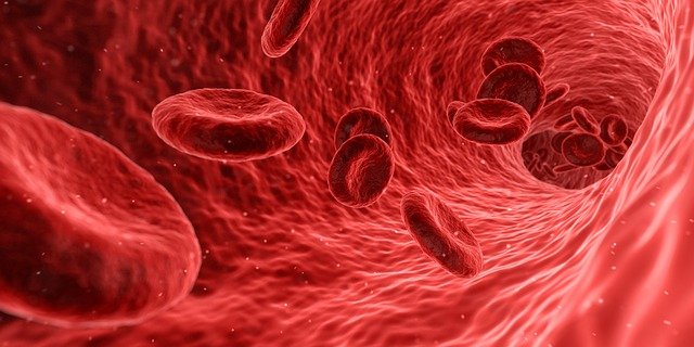 Vaccine covid 19 có hiệu quả không trong tiêu diệt covid 19 Vaccine covid 19 có hiệu quả không trong tiêu diệt covid 19