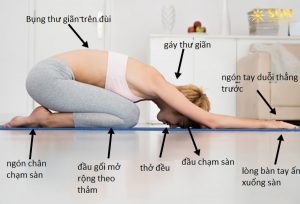 Yoga Trị Liệu: Điểm Mặt 12 Tư Thế Đỡ Đau Lưng