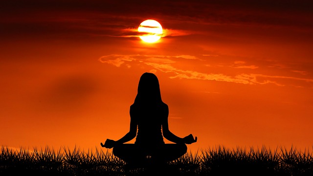 Yoga Cho Người Mới Bắt Đầu: Hành Trình Thăng Tiến Sức Khỏe Yoga Cho Người Mới Bắt Đầu: Hành Trình Thăng Tiến Sức Khỏe